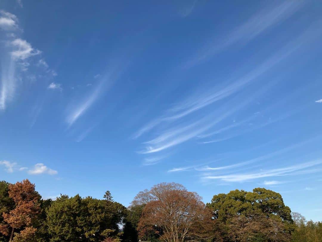 半井小絵さんのインスタグラム写真 - (半井小絵Instagram)「岡山県に舞台「#WAKE」のプロモーションに来ています。  ここは日本三名園のひとつ  後楽園✨」11月30日 18時06分 - sae_nakarai