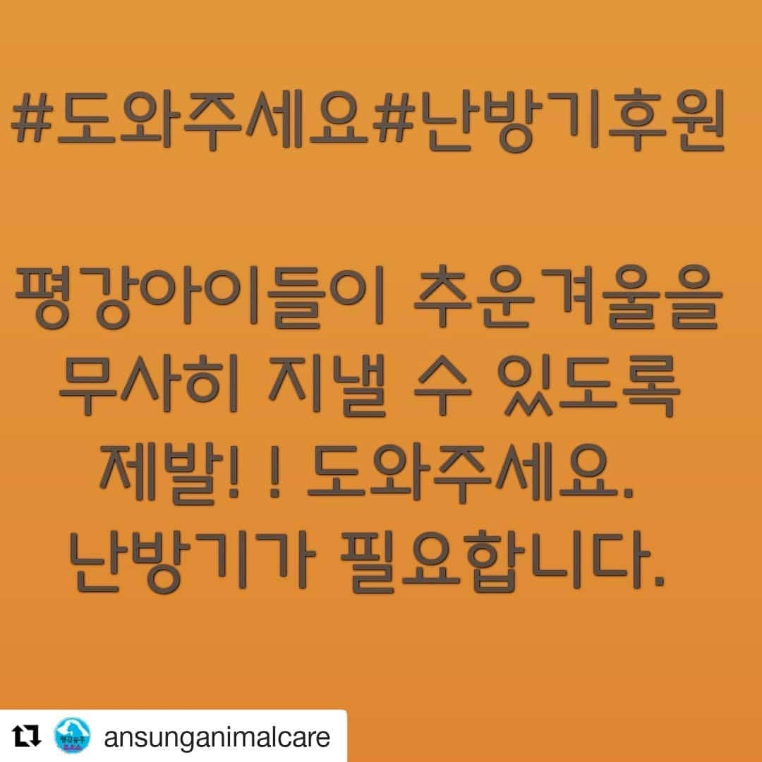 シム・ウンジンさんのインスタグラム写真 - (シム・ウンジンInstagram)「#Repost @ansunganimalcare (@get_repost) ・・・ 날이 점점 추워지고 있는데 새견사에는 난방기구가 하나도 없어 아이들이 겨울을 나기에는 너무 넓고 춥습니다. 사진은 1층 견사 모습이고 2층에는 같은 넓이의 견사가 있습니다. 1층에는 큰아이들, 2층에는 작은 아이들 위주로 지내고 있는데 평강에는 노령견들이 많아 추위를 견디기 힘든 아이들이 많습니다. 이불을 열심히 깔아주어도 영하의 추위에는 당해낼 재간이 없어요. 더군다나 한적한 곳에 위치한 평강의 밤추위는 도시의 밤추위와는 또 다르게 매섭습니다. 해만 기울어도 온도가 뚝뚝 떨어집니다. 난방이 정말 급해요. ㅜ 아직 본격적인 겨울 추위가 오기전인데 아이들은 벌써 이불위에 움크리고 있습니다. 노령견에게 추위는 치명적이예요. ㅜ 따뜻하지는 않더라도 추위에 떨지 않게 아이들을 위해 도와주세요.  현재 벽걸이형 냉난방기가 최소 12대가 필요합니다. (더 많으면 좋구요.) 스탠드형은 앞쪽부분만 난방이 되고 전체적으로 따뜻하지 않아 벽걸이형이 더 효율적입니다. 한 대당 가격이 935.000원입니다. (부가세 설치비 포함) 아이들이 새견사에서 첫겨울을 무사히 지낼 수 있도록 제발 도와주세요.  이리저리 힘들게 옮겨다니며 이제야 간신히 제대로 된 견사에 이사를 온 고생 많았던 아이들에게 따뜻한 보금자리 아니, 추위를 피할 수 있는 보금자리를 만들어 주시길 간곡히 부탁드립니다.  5천원,1만원...어떤 금액이라도 좋습니다. 사랑이 모여 아이들에게 돌아갈 수 있도록 제발 부탁드려요.   후원계좌 : 신한 100-033-423417 (안성평강공주보호소)  *본 후원은 연말 기부금영수증 발급이 가능합니다. *리그램 부탁드려요.  #안성평강공주보호소#안성보호소 #평강공주보호소#유기견보호소 #유기견봉사 #도와주세요#후원부탁드립니다#평강난방기후원#평강후원」11月30日 18時16分 - eundung81