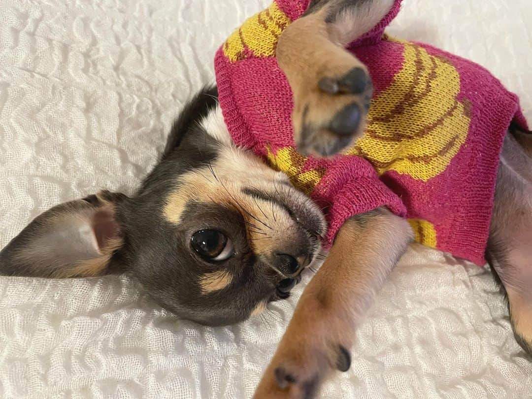 ステファニーのインスタグラム：「🍌💞 Britney BANANA girl❤︎」