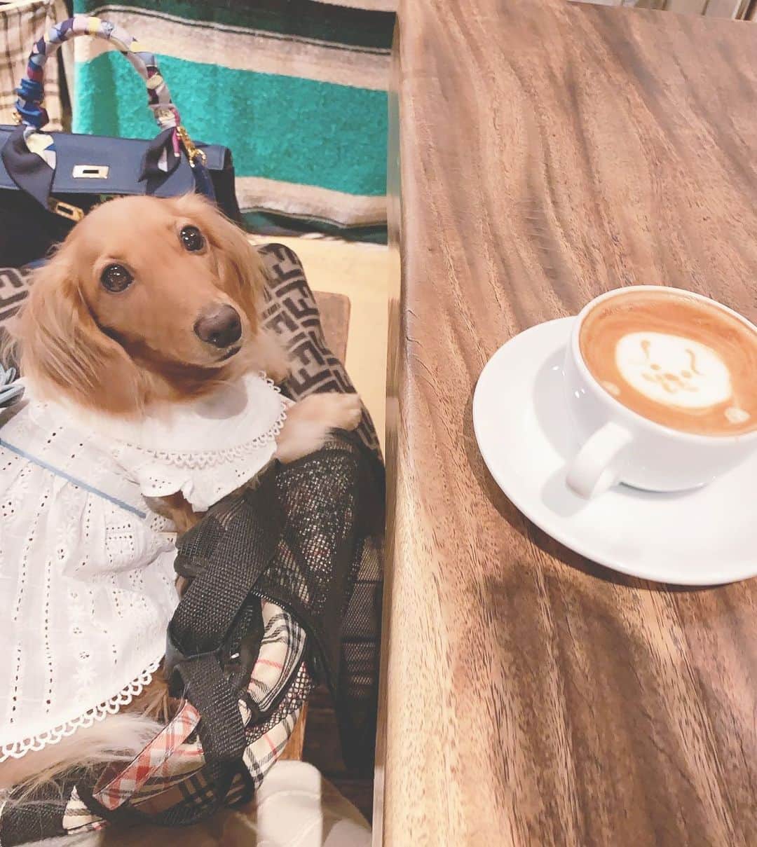 ゆうたむのグルメインスタ