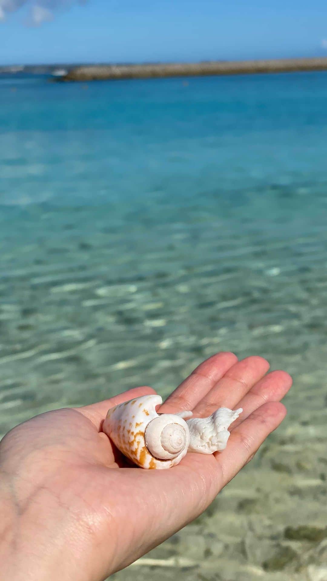 神田藍香のインスタグラム：「水納島  #reel#Okinawa#sea#minnazima #shell#sky#seaside#enjoylife  #happy#l4l#水納島#沖縄#旅行 #旅#海#海辺#浜辺#貝殻#モアナ #クロワッサンアイランド#旅」