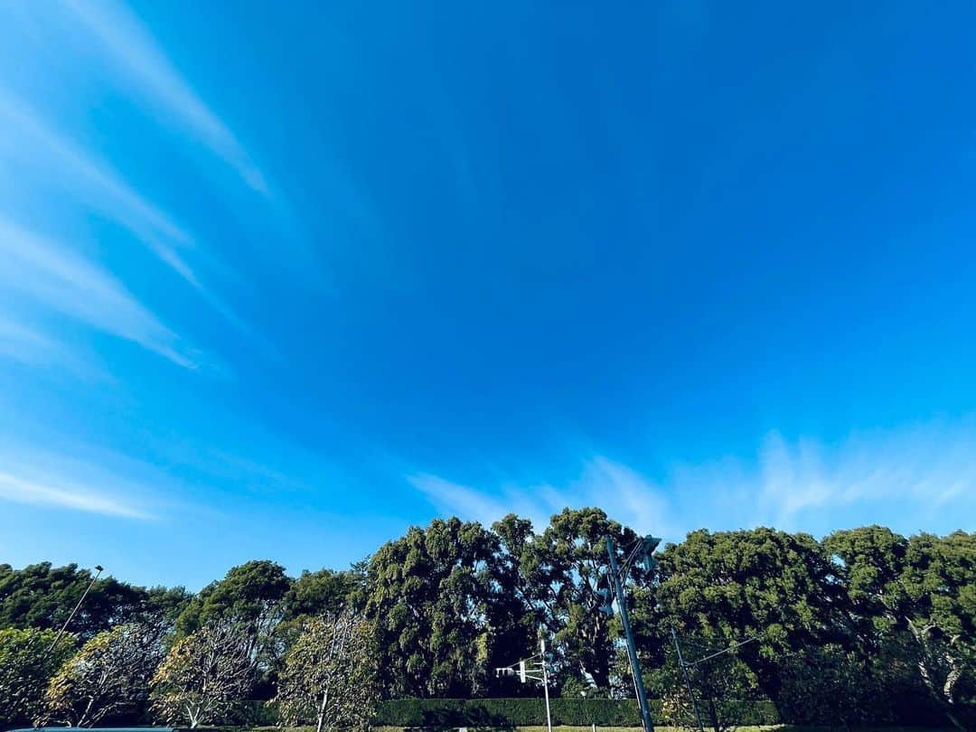 白木夏子さんのインスタグラム写真 - (白木夏子Instagram)「なんだか今日はすごい空だった😳満月も赤くて大きくて、地球に生きてる🌏まわってる〜て感じだわ。 色んなところで打ち合わせとかですごい歩いて、帰宅してスマホで歩数見たら14,000歩も歩いてた🏃‍♀️うゎお😳」11月30日 19時55分 - natsukoshiraki