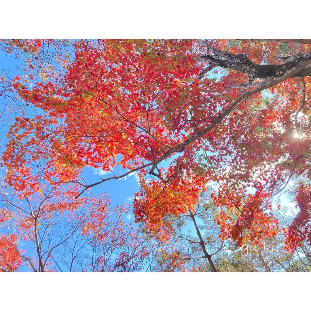 二見夕貴さんのインスタグラム写真 - (二見夕貴Instagram)「. 紅葉狩り🍁兼 カメラ女子📷兼 ひとり旅🧳をしてきました☺︎ . 久しぶりの国内旅行は コロナ感染対策の下ではありつつも たっぷり満喫できた旅でした☺️ . ストーリーでもちらほら載せてたけど さて、どこにいったでしょうか☺︎ . . 久しぶりのカメラ女子で、 相変わらず撮りまくって 何から載せればいいかわからずもたついてますが 地道に紹介していくので見てね☺︎ . #redleaves #autumnleaves #autumninjapan #beautifulsky #ilovesky #travelinjapan #cameragirl #travelgirl #紅葉狩り #秋空 #空まにあ #空が好き #カメラ女子 #ひとり旅女子」11月30日 20時11分 - yyyuki___