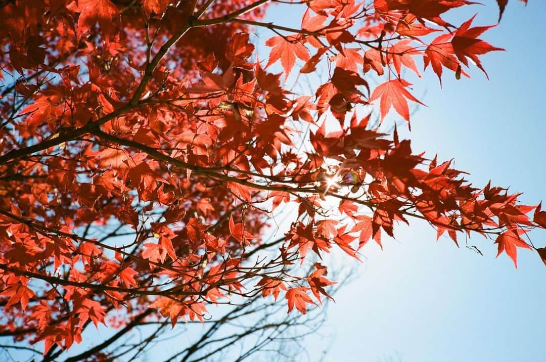 岡田健史さんのインスタグラム写真 - (岡田健史Instagram)11月30日 20時18分 - kenshi_okada_official