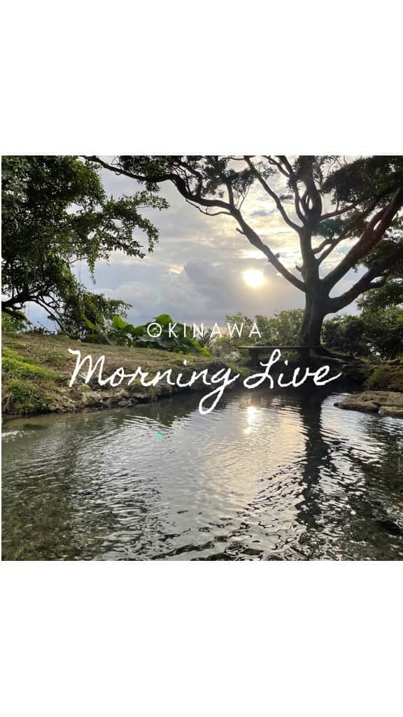 のインスタグラム：「Morning Live in Okinawa 垣花桶川（かきのはなひーじゃー）」