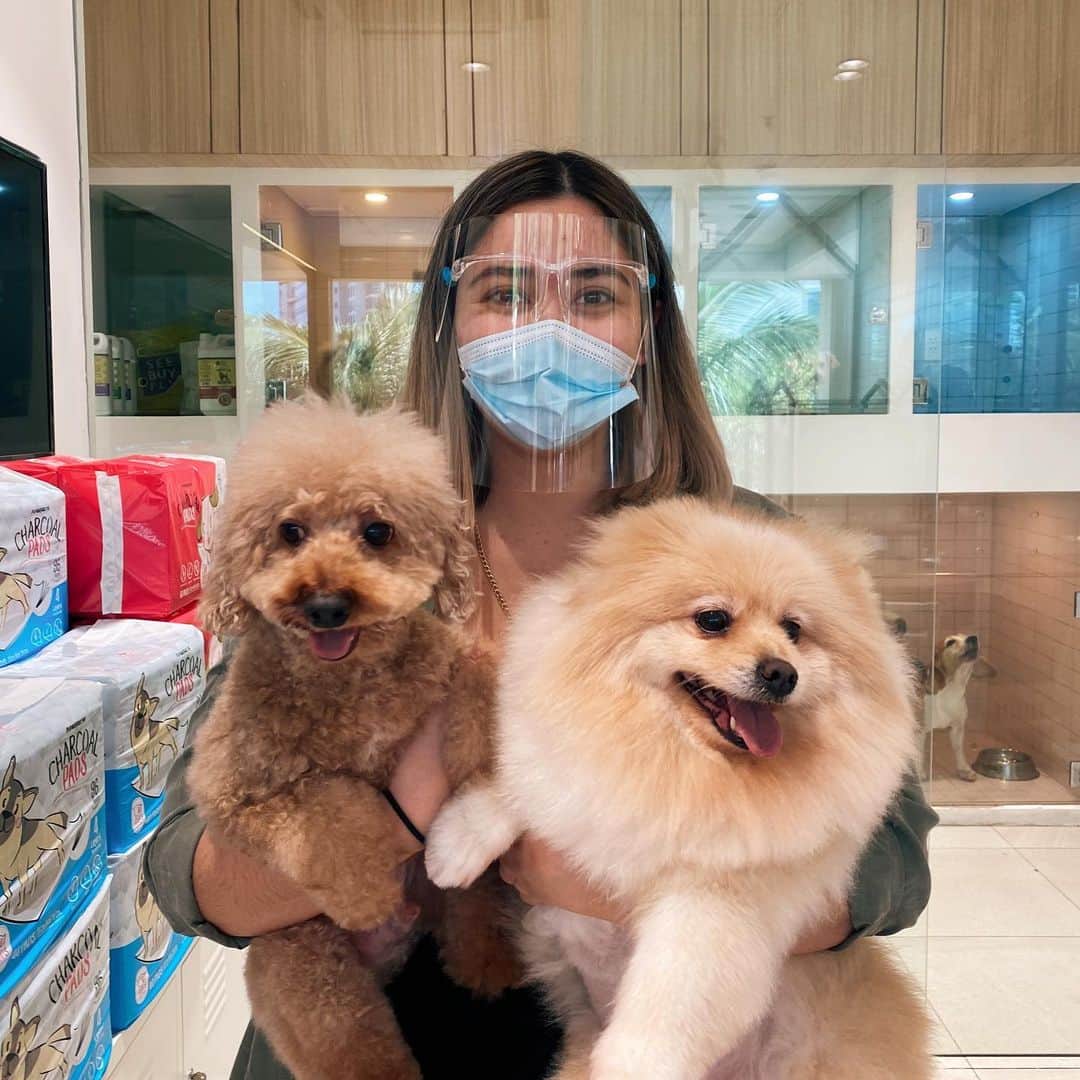 ローレン・ヤングのインスタグラム：「Went to get groomed at @mrpawsph and then hung out with their cousin, @sobadobadaez for the first time ever! What a fun day spent with the family 💖」