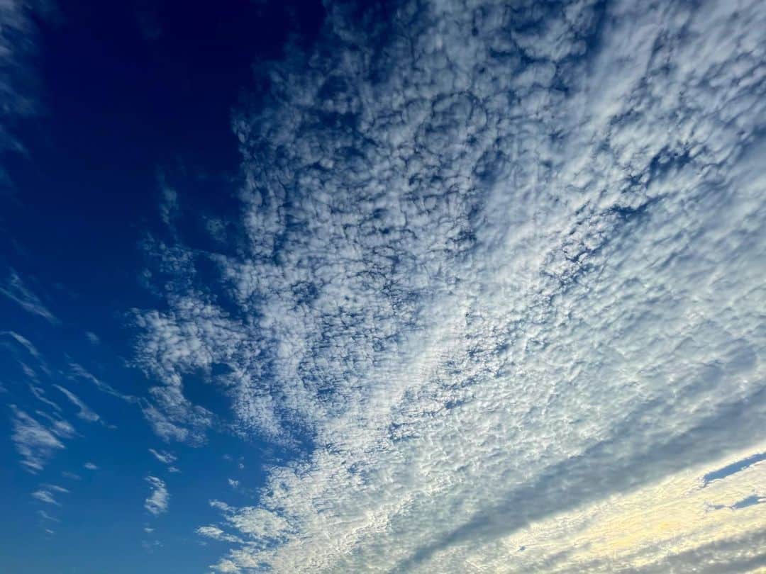 sioneのインスタグラム：「良い空だった #shotoniphone」