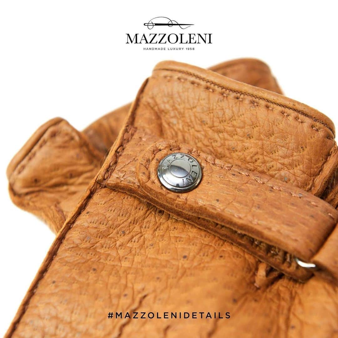 マッツォレーニさんのインスタグラム写真 - (マッツォレーニInstagram)「#peccarygloves #peccary #mazzolenigloves #gentleman」11月30日 21時31分 - mazzolenigloves
