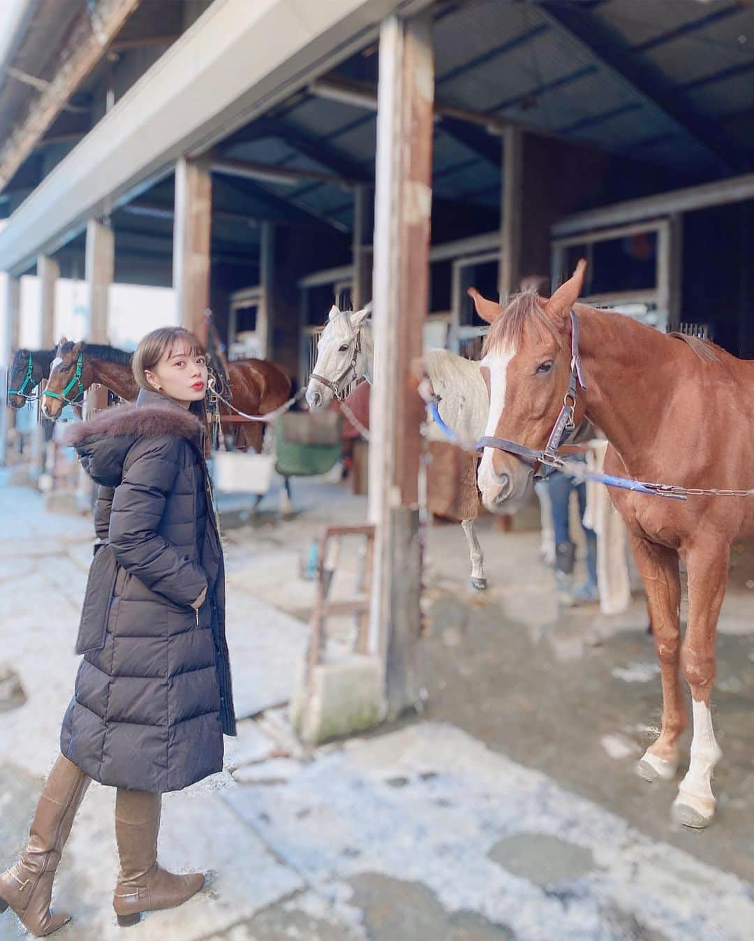 山崎春佳さんのインスタグラム写真 - (山崎春佳Instagram)「🏇❤️ . 先日八王子乗馬クラブへ。 犬猫にもビビる私にはこわいかも…と不安だった気持ちは何処へやら。ただただ美しいお馬さんに癒されました。 . 上質なファーが気持ちいい新しいコートは @proportionbodydressing のもの。 きれいめで高級感溢れるダウンコートを実はずっと 探していたの！ あったかいのにおしゃれでもあるって最高ですよね👏🏻 ウエストには紐がついているので前にも結べるけど、 今回は後ろでキュって縛って前を開けていても くびれるようにしたよ✧ . ここからは余談ですが。 乗馬ってスキンシップを大事にするスポーツなのですが、初めて馬を何度も撫でていたらだんだんと、あれ？クシャミが止まらないな？となり、帰り道はグジュングシュンに。🤧(笑) まさかの山崎、馬アレルギーでした。また行くけどね！ . #me #tbt #ootd #casual #horsebackriding #horse #beautiful #coat #pbd #proportionbodydressing #proportion #boots #八王子乗馬クラブ #八王子 #乗馬 #コート #ダウンコート #プロポ #プロポーションボディドレッシング」11月30日 21時43分 - haruka_yamazaki