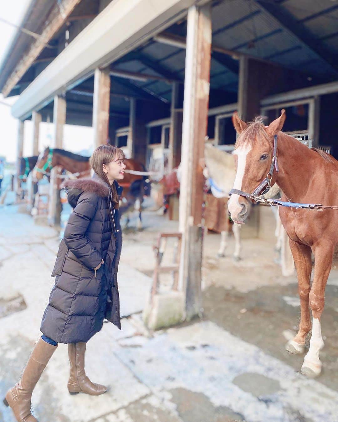 山崎春佳さんのインスタグラム写真 - (山崎春佳Instagram)「🏇❤️ . 先日八王子乗馬クラブへ。 犬猫にもビビる私にはこわいかも…と不安だった気持ちは何処へやら。ただただ美しいお馬さんに癒されました。 . 上質なファーが気持ちいい新しいコートは @proportionbodydressing のもの。 きれいめで高級感溢れるダウンコートを実はずっと 探していたの！ あったかいのにおしゃれでもあるって最高ですよね👏🏻 ウエストには紐がついているので前にも結べるけど、 今回は後ろでキュって縛って前を開けていても くびれるようにしたよ✧ . ここからは余談ですが。 乗馬ってスキンシップを大事にするスポーツなのですが、初めて馬を何度も撫でていたらだんだんと、あれ？クシャミが止まらないな？となり、帰り道はグジュングシュンに。🤧(笑) まさかの山崎、馬アレルギーでした。また行くけどね！ . #me #tbt #ootd #casual #horsebackriding #horse #beautiful #coat #pbd #proportionbodydressing #proportion #boots #八王子乗馬クラブ #八王子 #乗馬 #コート #ダウンコート #プロポ #プロポーションボディドレッシング」11月30日 21時43分 - haruka_yamazaki