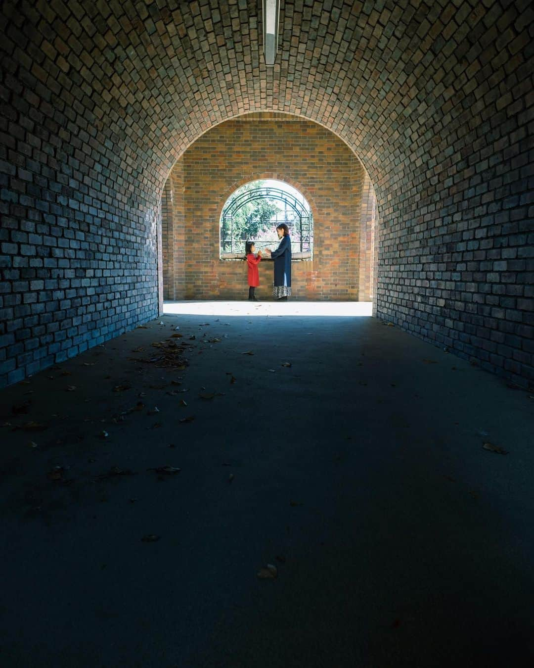 shabonさんのインスタグラム写真 - (shabonInstagram)「* . . . . . 岐阜市のフォトツーリズム事業、 岐阜市×東京カメラ部 @tokyocameraclub の取り組みで、岐阜市内のフォトスポットを 発掘、撮影、プロモーションに携わっています。 . メタセコイアが綺麗な 素敵な公園でした。 公園内にはレンガ造りの トンネルもあります☺︎︎ . special thanks. @atsushi.k.photography  . . FUJIFILM X-T4 /  XF8-16mmF2.8 R LM WR XF16-55mm F2.8 R LM WR . . . . . *  #igersjp #tokyocameraclub  #東京カメラ部 #photo_shorttrip #team_jp_ #GPW_members_only #as_archive #worldviewmag #lovers_nippon_portrait  #art_of_japan_ #daily_photo_jpn #jp_mood #ファインダー越しの私の世界 #japan_daytime_view #岐阜 #gifusta #岐阜市 #fujifilm_xseries #fujifilmxt4 #1x #moodygrams #紅葉 #hellofrom  #今日もx日和 #ギャラリームジン #長良公園 #photo_travelers #メタセコイア」11月30日 21時51分 - shabon