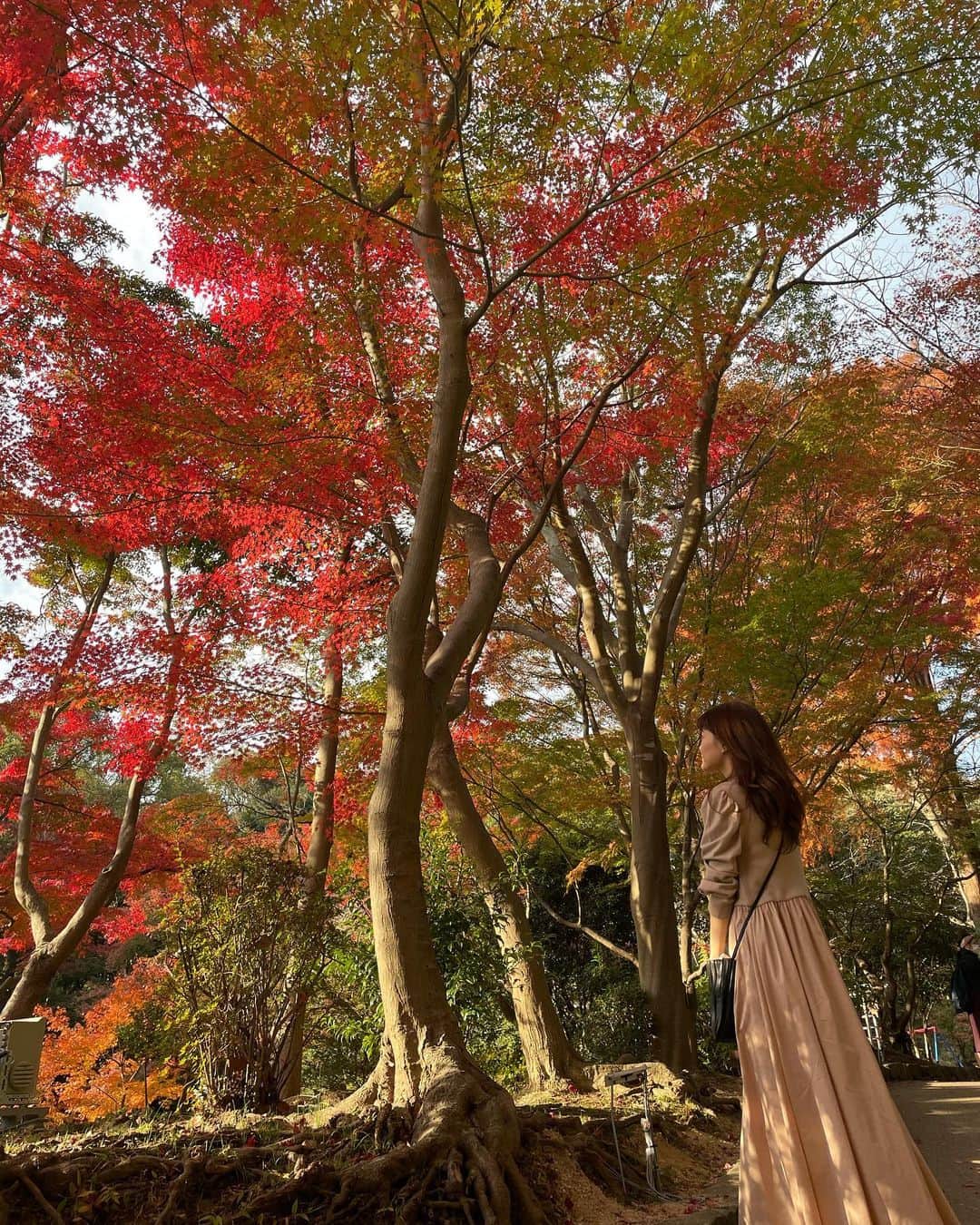 ほのかのインスタグラム：「. . 今日で11月も終わり〜！！ . . お昼間の紅葉も良かった〜！綺麗！ 今年もみれて嬉しかったな〜🍁 . . この時はアウターなしで過ごせたけど、もう寒いな〜🌀💭 .  #紅葉 #紅葉スポット #もみじ #神戸紅葉 #須磨離宮公園 #須磨 #神戸 #神戸観光 #l4l #モデル事務所 #rottenmeier_model #model #モデル #instapic #likes #ロッテンマイヤーほのか」