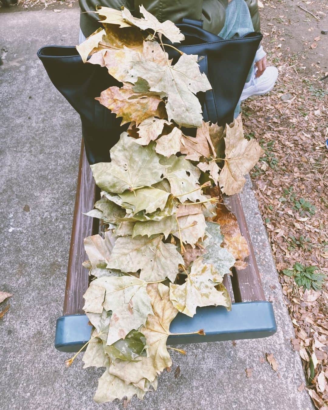宮城舞さんのインスタグラム写真 - (宮城舞Instagram)「秋の公園の遊び方🍁👦🏻 大きい葉っぱを探して 一生集めてたら気が付けば バックも埋もれてた😇 むしろ、大きいも何もない 葉っぱを拾って集めるだけ🤣 どこでも楽しめる子供がうらやましー🧡  #autumn」11月30日 21時45分 - mai_miyagi