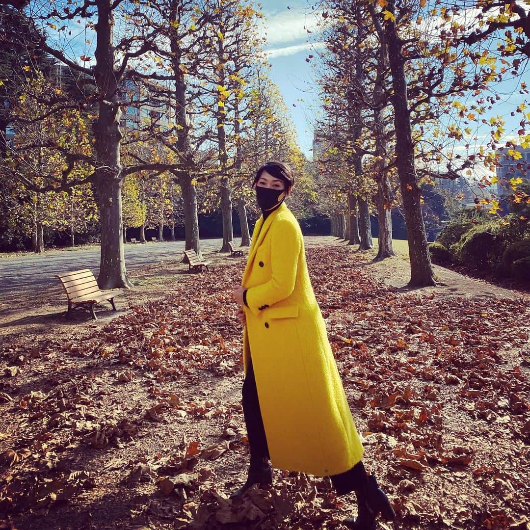 のインスタグラム：「ヨーロッパの街にいるような心地で過ごさせていただきました、新宿御苑にて行われたサスティナブルなイベント、ボッテガマルティネーゼのファッションショー。イタリアの工房発のブランドです。こんな華やかな場所に行ったのはいつからぶりなのか、とても刺激的でもありました。生演奏をバックに、モデルにスタイリングからシューティング、皆さんがいる空間にウォーキングして魅せる素敵なショー。コートは上質でかっこよくもかわいくも見える。この冬空の下にふさわしいもの。私も黄色のコートを着させていただきました！人生初の色のコートで楽しかったです✨  廃棄になったお花や食材が生き生きとした形で並んでいるのをみて、まだまだできることがたくさんあるなと感じたり、食品ロス削減プロジェクトを知れるきっかけとなったり。環境に生活に優しい試みで、ここで過ごす時間がより充実して優雅な時間になりました。お声掛けしてくれた @0214hiro ひろちゃん、ありがとう💕  コートはwebサイトでもみれますよ✨  今日から12月、早くも今年も後1か月やり残しのないように、体調には気をつけて日々すごしましょう😊✨  #bottegamartinese #ボッテガマルティネーゼ #コート #botttega #工房 #おしゃれ #スタイリング #新宿御苑 #紅葉 #晴れ #落ち葉 #ファッションショー #coat #サスティナブル #食品ロス削減  #フリフル #環境づくり #誕生日」