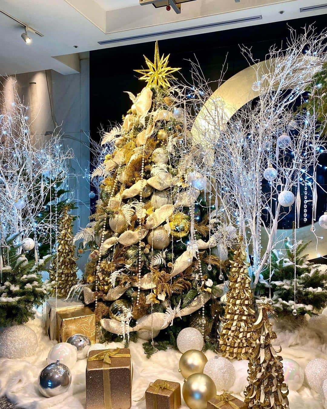 ホテル ニューオータニさんのインスタグラム写真 - (ホテル ニューオータニInstagram)「The lobby of @hotelnewotanitokyo is full of Christmas vibes with the Christmas tree and decoration🎄✨ #HotelsForTheHolidays #FutureTravelGuide #forbestravelguide @forbestravelguide   今日からいよいよ12月🎄ホテルニューオータニ館内は、華やかなクリスマスデコレーションに彩られています。各レストラン・ラウンジのクリスマスツリーも必見です。  ◇ @hotelnewotanitokyo プロフィールのURLよりクリスマス特設ウェブサイトへ。」12月1日 8時32分 - hotelnewotanitokyo