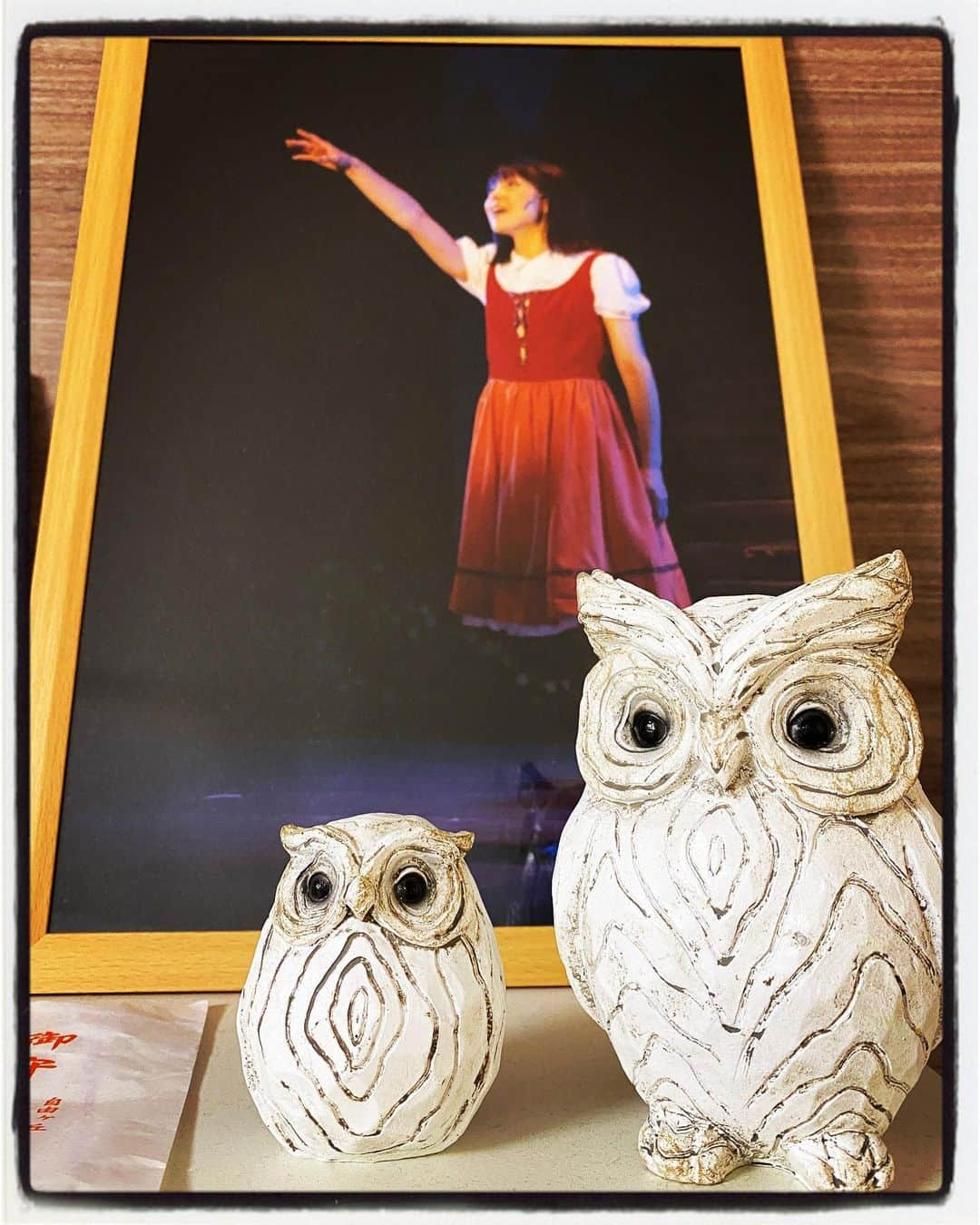 小川麻琴さんのインスタグラム写真 - (小川麻琴Instagram)「家に可愛いフクロウさんが仲間入り🦉  見守ってくれてます☺️💕  #ふくろう  #可愛い #見守ってくれてる  #ありがとう」12月1日 0時08分 - 1029_makoto