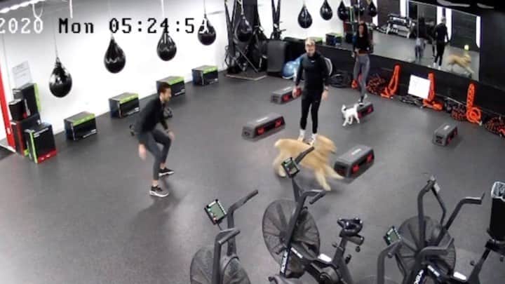 ショーン・ブースのインスタグラム：「What we’re actually doing before class starts at @boothcampgym .. #happymonday」