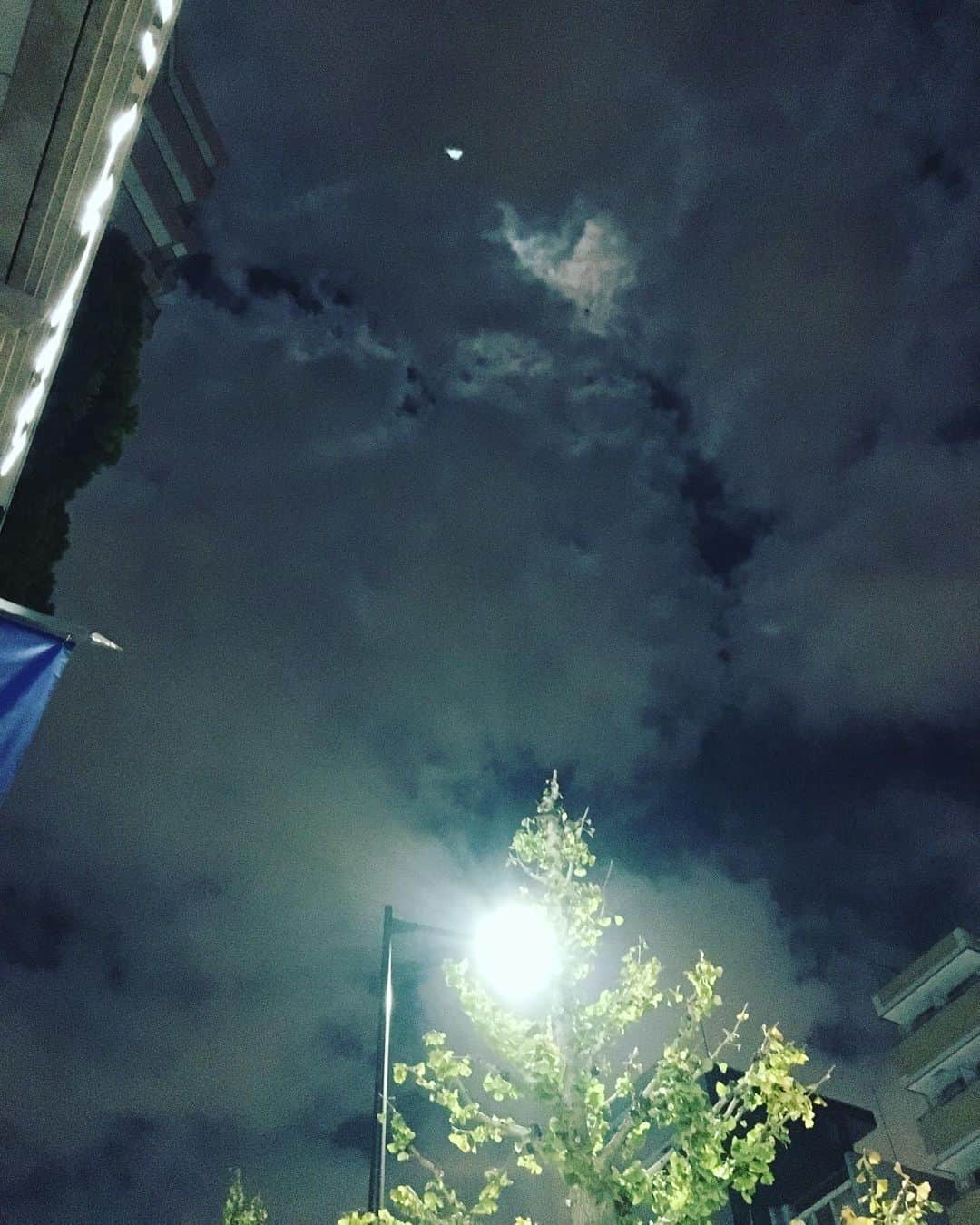 のインスタグラム：「ごめん。もうとっくの昔に野心なんてなかった。そもそも、初めからなかったのよ。  人が求める自分像なんか、果てしなくどうでもいいんだよ。  私は幸せでありたいだけ。1mmも寸分たがわず自分でいたいだけ。  そうゆう、自分から解放されきった私と一緒にいて、幸せだと思う生き物と一緒にいたいだけ。  #東京下町時間」