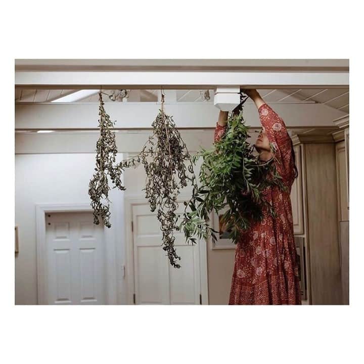 マッタのインスタグラム：「Beautiful photo of the @tea_huntress in our classic Yamini Booj Dress. ✨link in bio for more✨」