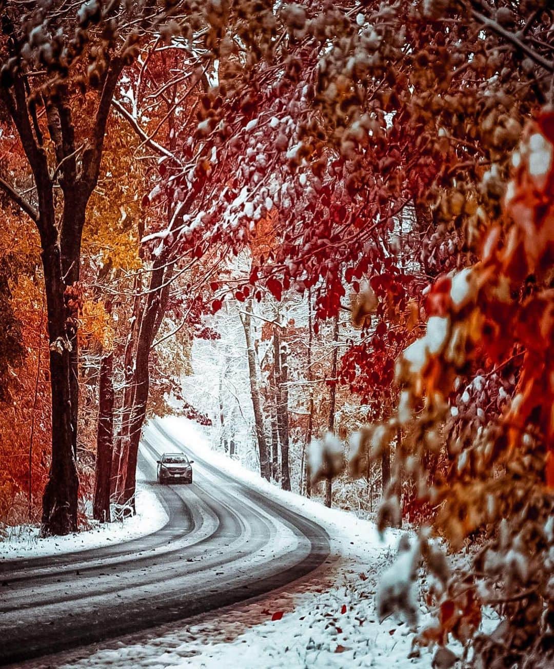 Canon Photographyさんのインスタグラム写真 - (Canon PhotographyInstagram)「Fall to Winter  Photography // @new_englander__  Curated by @henry.nathan  #fall #winter #autumnvibes #snow #trees」12月1日 1時09分 - cpcollectives