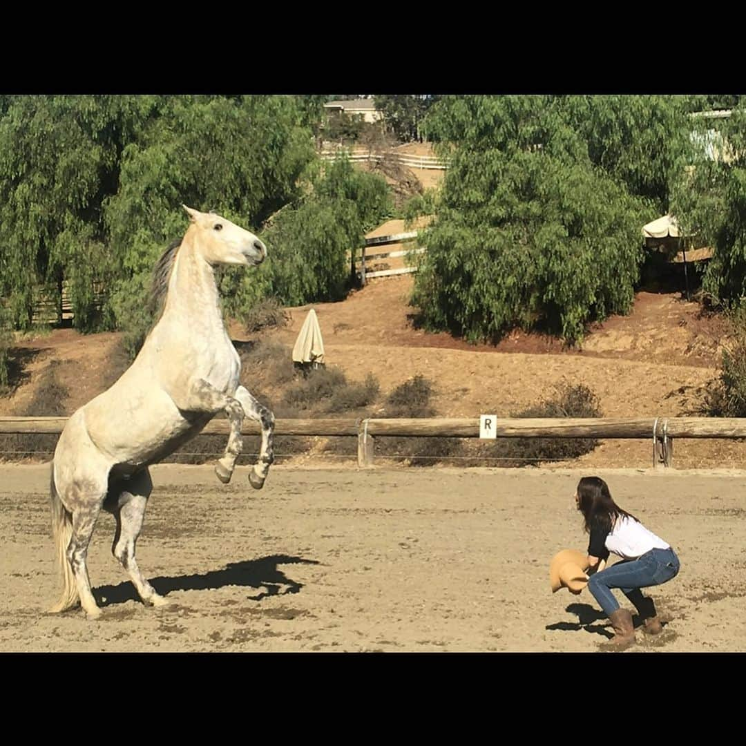 ウィットニー・カミングスさんのインスタグラム写真 - (ウィットニー・カミングスInstagram)「My heart. #libertyhorsemanship」12月1日 1時32分 - whitneycummings