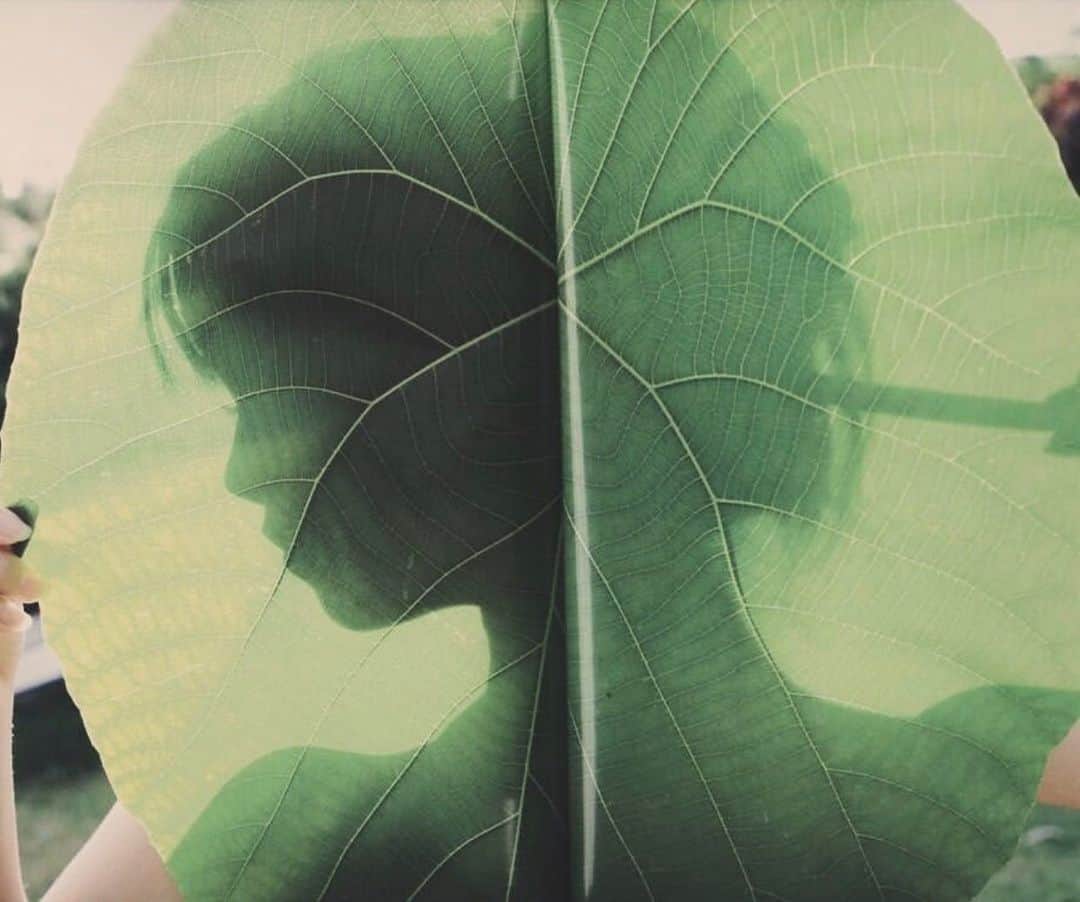 フラヴィア・ルチーニのインスタグラム：「#mothernature 🧚🏼🍀🌿🌱 #greenpeacebrasil」