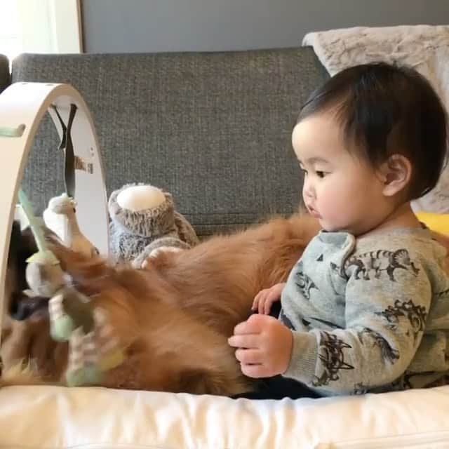 Buddy Boo Blueのインスタグラム：「Don’t be a Bluebeary. Share the good.」