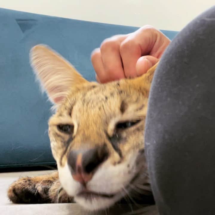 SKYtomoのインスタグラム