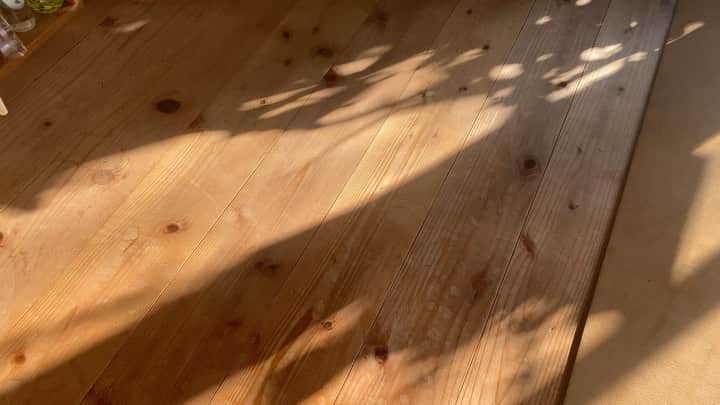 のインスタグラム：「朝が来た✨  Morning is here ✨  #おついたち #ひかり #あさ #morning  #light」