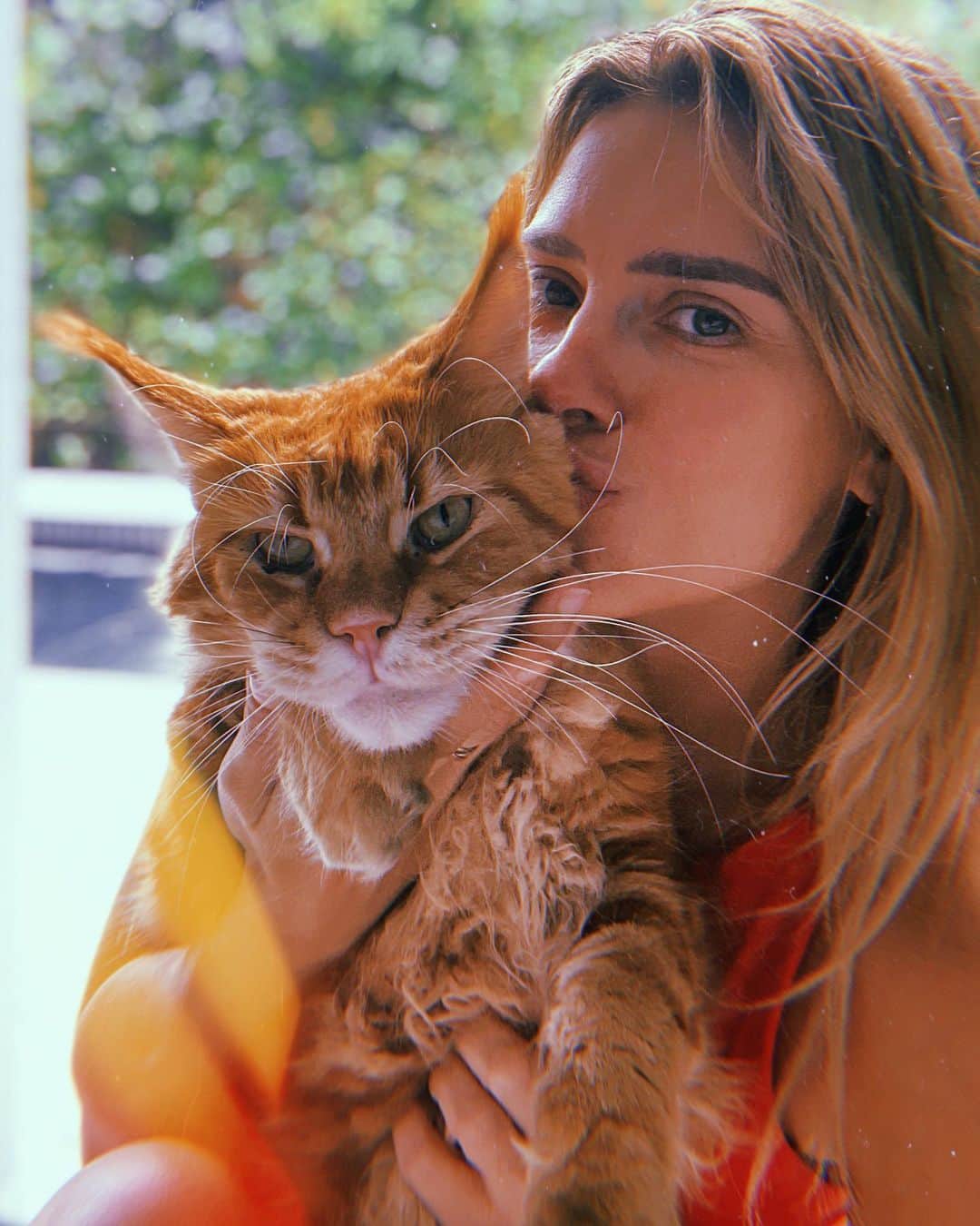 カロライナディークマンのインスタグラム：「hoje meu gato faz dois aninhos... ele,  q chegou no dia do aniversário do tiago,  mas nasceu no dia da angelica,  e traz no meio da testa um M de maira, minha mãe. ele, q veio por causa da partida do kibe,  mas q por causa disso mesmo,  carrega e recebe um amor em dobro. ele,  q dorme com o zumba,  e passa cada minuto alegrando os dias da nossa vida. ele,  o chili,  o melhor amigo do ideafix. viva viva viva chiliiiiiiiii 🌻🌻💘🌻🌻💘🌻🌻」