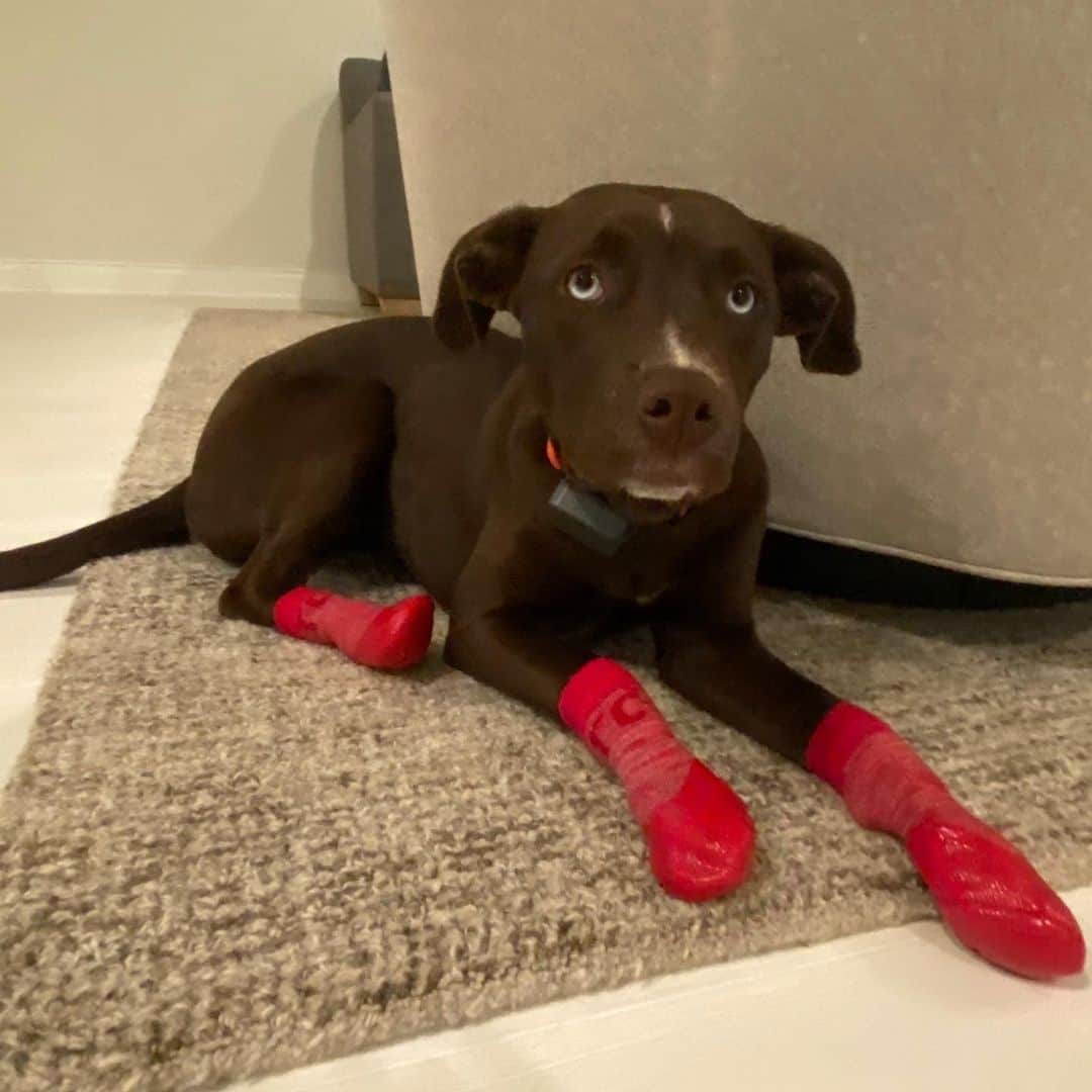 ボビー・ブラウンのインスタグラム：「When you’re staying at a friends apartment and you are extra careful not to mess up the beautiful white floors. #redbooties @sundae @5dukes」