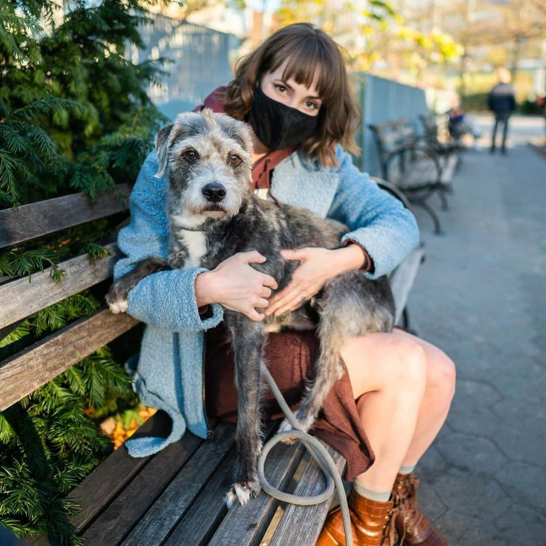 The Dogistさんのインスタグラム写真 - (The DogistInstagram)「George, mix (5 y/o), Pier 84, New York, NY • “He’s wildly happy when he’s not catastrophically  nervous. He’s like an old man – I picture him in a shawl cardigan.” @jessica_pels, EIC of @cosmopolitan • A rescue via @bfas_ny」12月1日 6時32分 - thedogist