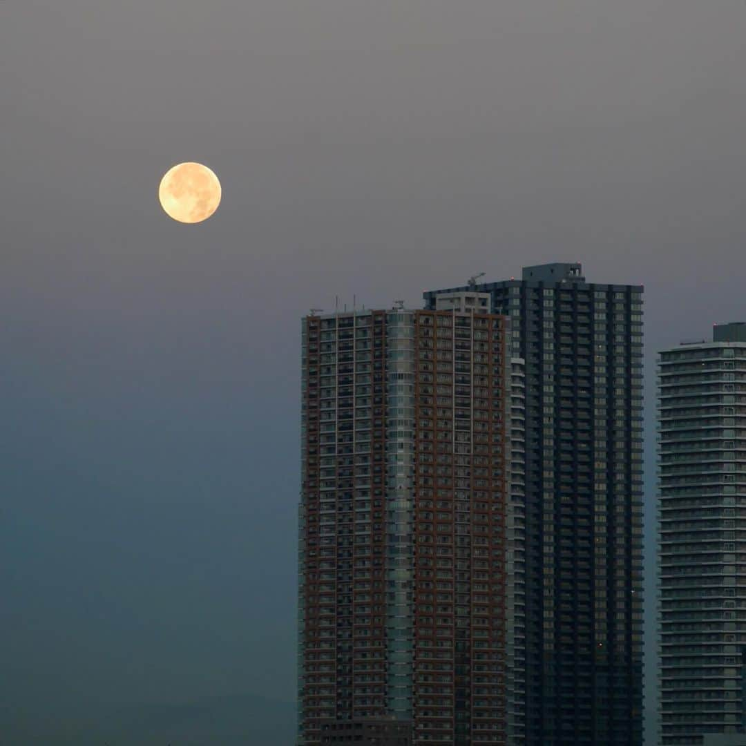 くろさんのインスタグラム写真 - (くろInstagram)「AM6:30🌕 #beavermoon #fullmoon #morningfullmoon #朝の満月 #朝の月 #満月 #満月の朝 #🌕」12月1日 6時38分 - m6bmw