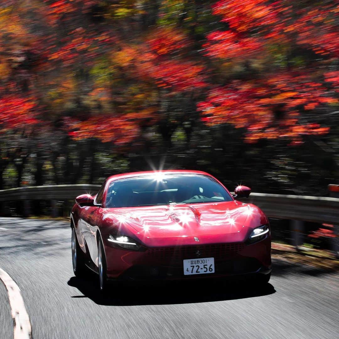 Ferrari Japanさんのインスタグラム写真 - (Ferrari JapanInstagram)「晩秋の風景と見事に調和した #FerrariRoma のエレガントなスタイルをご覧ください。  #Ferrari  #LaNuovaDolceVita #Japan #Kyoto #フェラーリ #フェラーリローマ #スーパーカー #スポーツカー #京都」12月1日 16時52分 - ferrarijpn