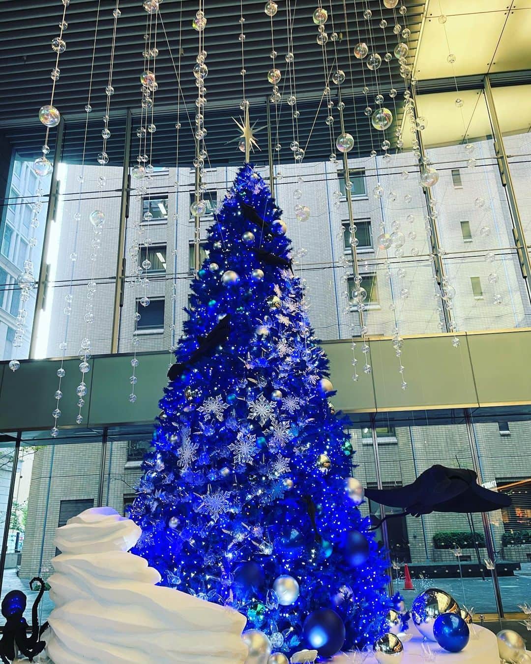浅倉樹々さんのインスタグラム写真 - (浅倉樹々Instagram)「.﻿ 12月START🎁﻿ ﻿ 2020年もあと１ヶ月﻿ ﻿ 楽しい毎日にできたらいいな〜﻿ ﻿ ツリーは大手町でみつけたよ🎄﻿ ﻿ #tsubaki_factory #つばきファクトリー #idol #浅倉樹々 ﻿ #12月 #クリスマス #ツリー #我が家にもツリー飾ってあります #クリスマスケーキ #早く食べたい #オススメありますか？﻿ ﻿」12月1日 16時59分 - kiki_asakura.official