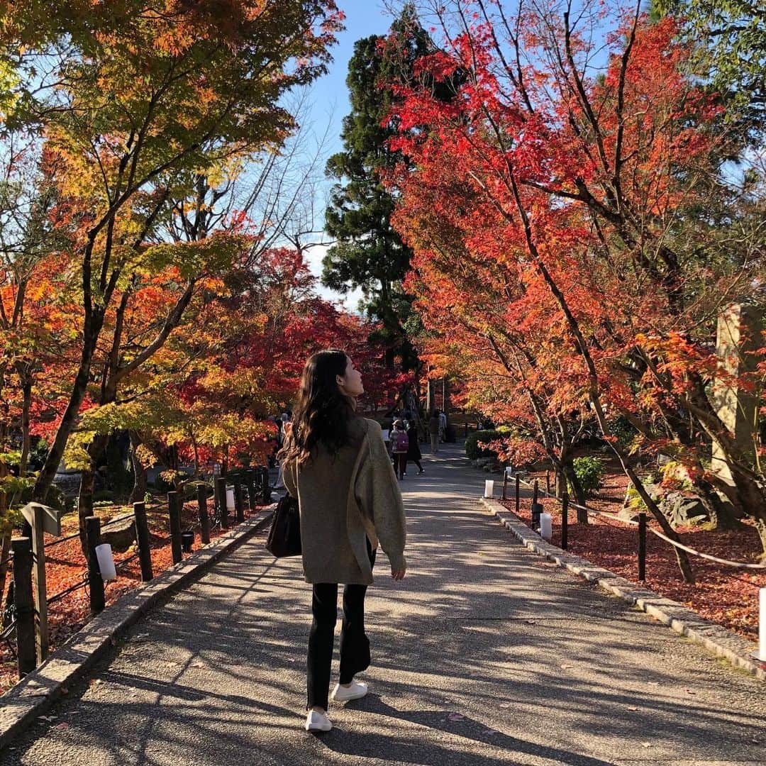 小川沙樹のインスタグラム：「永観堂→東福寺🍁 結構散ってしまってたけど、それはそれで綺麗🥰」
