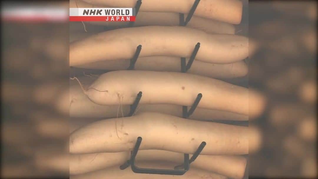 NHK「WORLD-JAPAN」のインスタグラム