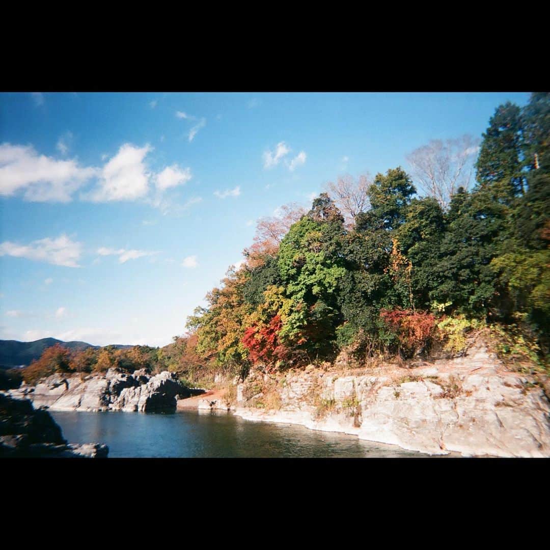 竹原聖一郎さんのインスタグラム写真 - (竹原聖一郎Instagram)「12月だ。 もうちょい秋を感じてたい。 #film #photo #秩父 #長瀞 #自然 #12月」12月1日 17時28分 - shoichiro1113