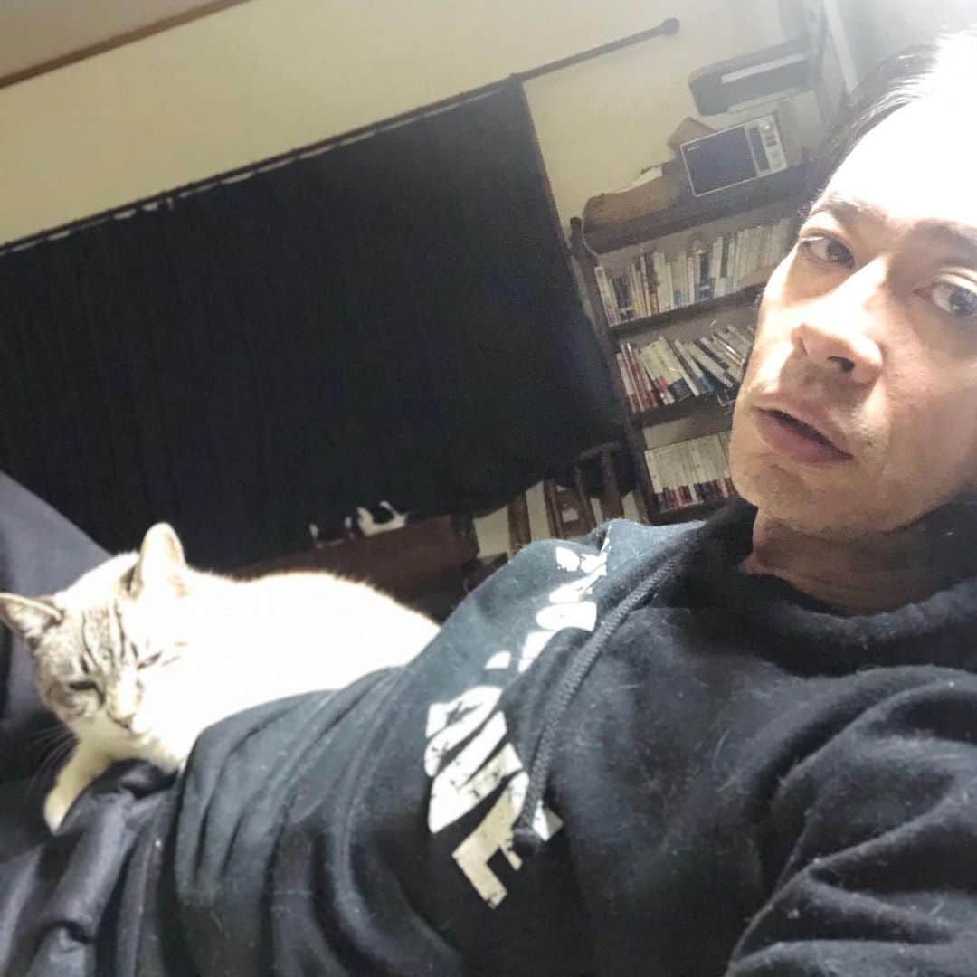 町田康のインスタグラム：「距離おいてる。」