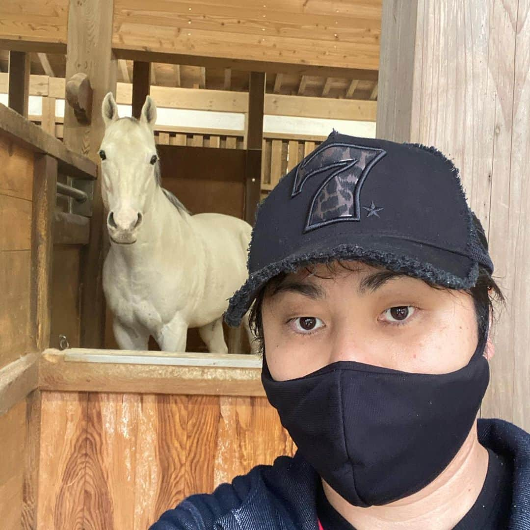 井上裕介さんのインスタグラム写真 - (井上裕介Instagram)「自撮りしようとしたら、馬もカメラ目線。 こりゃ、馬もナルシストに違いない。  #NONSTYLE #ノンスタイル  #井上 #自撮り #ポジティブ #ナルシスト #どうだ #イケメン #だろ！？ #インスタ映え #いや #イノスタ映え #インスタグラム #イノスタグラム」12月1日 17時45分 - nonyusuke