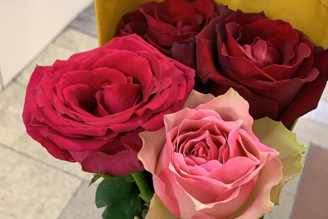 平佐知子さんのインスタグラム写真 - (平佐知子Instagram)「「薔薇で想いを届けよう」 ～AFRIKA ROSE×関大ミスキャン～  アフリカローズ様(@afrika_rose )とのコラボでフェアトレードの薔薇と一緒に撮影しました！🙈💕💭  私が選んだ薔薇は｢メモリー｣という名前の薔薇です🥀 どれも綺麗で素敵だったのですが、ハッキリとしたピンクの大輪の花に魅了されてこの薔薇を選びました🥰  実際に見てもとても美しくて、写真映えするお花とお気に入りのドレスを着ての撮影だったのですごく楽しかったです✨  私はお花が好きで少しでも長く咲いていてほしかったので、皆が持って帰らなかった分も頂いて家でドライフラワーにしています🌹 どんな感じになるか今から楽しみです☺️  薔薇はプレゼントする本数や色で意味が違っていることは多くの人に知られていますが、恋人だけでなく家族やお友達に本数を変えて贈ることもいいらしいです！私も感謝の気持ちを込めて色んな人にお花を贈るような人になりたいです🎠🌷  さて、活動日数も残りわずかとなっておりますが、ファイナルに向けて自己PRを完成させつつやり残した事がないように精一杯努めます。最後まで応援よろしくお願いいたします。   #広尾と六本木の花屋 #アフリカローズ  #afrikarose  #世界最高品質のバラ #薔薇で想いを届けよう  #パーティドレス  #バラ  #北浜」12月1日 18時00分 - kandai20miss_5