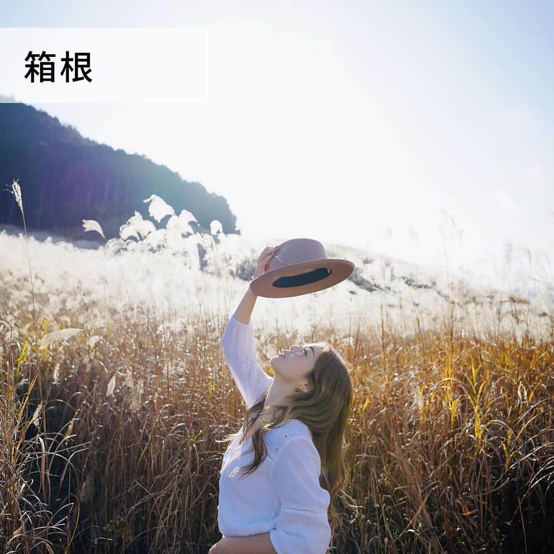 旅工房公式さんのインスタグラム写真 - (旅工房公式Instagram)「#箱根旅行#箱根観光﻿ 今回ご紹介するのは温泉地で有名な箱根❣️﻿ ぜひ一度立ち寄ってみたい観光スポットを5つ集めてみました♨️﻿ ｰｰｰｰｰｰｰｰｰｰｰｰｰｰｰｰｰｰｰｰｰｰｰｰｰｰｰｰｰｰｰｰｰｰｰｰｰｰｰ﻿ ▽お写真ありがとうございます！﻿ ﻿ 1: @arielyuka1011 さん﻿ 辺り一面が黄金に輝く「ススキの原野」🌾﻿ 見る時期によって風景が変わるのも１つの楽しみ方👀3月には、山焼きが行われます⛰﻿ ﻿ 2: @shisonydayo さん﻿ 芦ノ湖に浮かぶ「平和の鳥居」⛩﻿ 箱根神社はパワースポットとしても人気✨﻿ 観光の際は一度訪れてみたいですね❣️﻿ ﻿ 3: @elle1147 さん﻿ ステンドグラスが素敵な「箱根彫刻の森美術館」❣️﻿ 屋外展示も豊富で大人から子供まで楽しめます✨自然の中で癒される足湯も人気です👀﻿ ﻿ 4: mariofdream さん﻿ フランスの街並みがフォトジェニック！「星の王子さまミュージアム」🌟﻿ 季節によって様々な工夫があるのでいつ訪れても楽しめます❣️﻿ ﻿ 5: @light_fondue さん﻿ 箱根ラリック美術館のカフェ「ル・トラン」✨﻿ 本物のオリエント急行に乗りながらティータイムが楽しめます☕️﻿ 現在はコロナ対策として時間と定員が限られているので現地で予約必須です👀﻿ ﻿ ｰｰｰｰｰｰｰｰｰｰｰｰｰｰｰｰｰｰｰｰｰｰｰｰｰｰｰｰｰｰｰｰｰｰｰｰｰｰ﻿ 海外・国内問わず、素敵なスポットやグルメ、アイテムの写真にはぜひ #旅工房 @tabikoboをタグ付けしてください❣️﻿ ﻿ #箱根旅行#箱根観光#箱根#ススキの原#仙石原すすき草原#箱根ラリック美術館#オリエント急行#箱根美術館#旅行計画#彫刻の森美術館#箱根彫刻の森美術館#箱根神社#箱根カフェ#旅したくなるフォト#国内旅行好き#星の王子さまミュージアム#旅すたぐらむ#女子旅#タビジョ#星の王子さま#神奈川観光#カフェ巡り#旅行好き#絶景#japantrip#hakonetrip#旅工房箱根﻿」12月1日 18時01分 - tabikobo