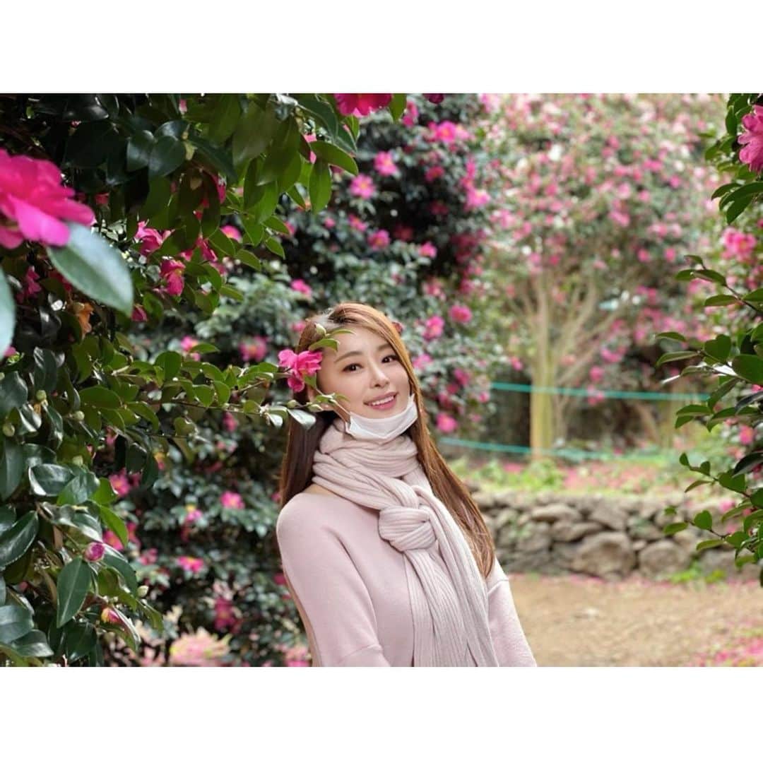 のインスタグラム：「#동백꽃 #🌺」