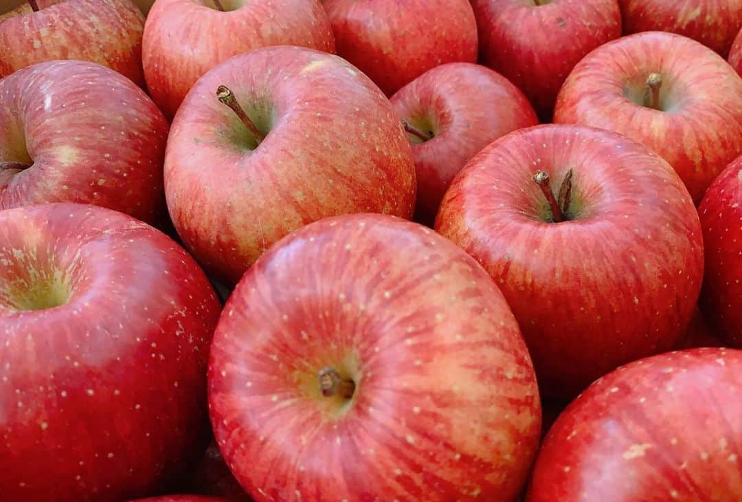 石原詢子さんのインスタグラム写真 - (石原詢子Instagram)「とっても甘くて美味しいリンゴが届きました！ 小ぶりだけど、甘い〜！！  #石原詢子 #リンゴ #届きました #旬 #美味しい #甘い #小ぶりだけど #嬉しい #果物」12月1日 9時36分 - junko_ishihara.official