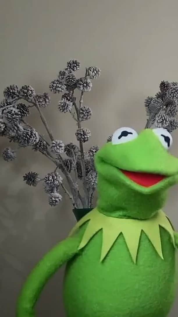 アメリカン・ブロードキャスティング・カンパニーのインスタグラム：「We are already feeling so nostalgic ✨ @kermitthefrog and @realmisspiggy knew exactly how to bring something special to the #DisneyHolidaySingalong!」