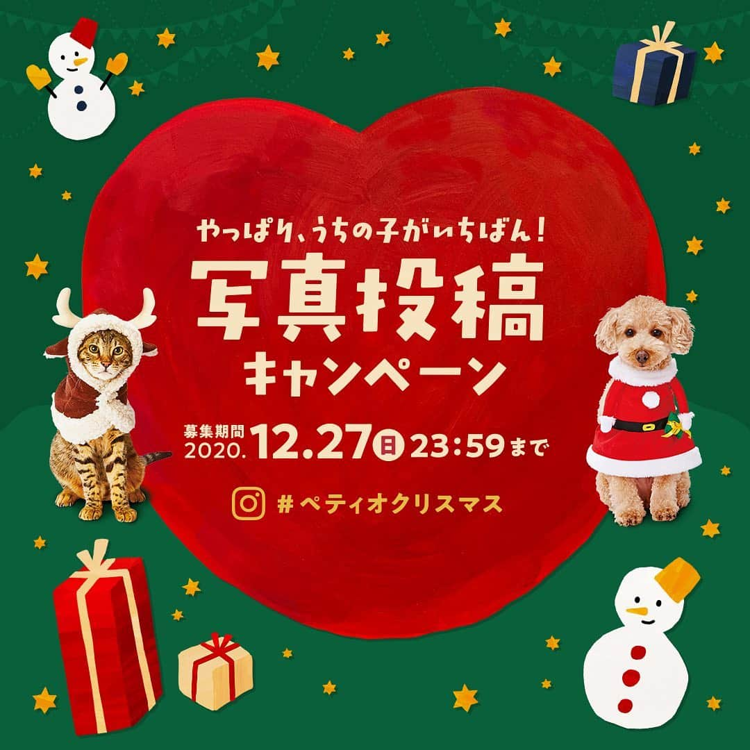 Petioのインスタグラム：「「やっぱり、うちの子がいちばん！」クリスマス写真投稿キャンペーンSTART📢🎅✨ ・ キャンペーンハッシュタグ #ペティオクリスマス をつけてうちの子のクリスマスフォトを投稿してね📷 投稿された写真の中から抽選で世界に1つだけの「うちの子オリジナルアクリルフォト」やPetioのスペシャルBOXをプレゼント！！🎁🎄 ・ 今年は、キャプション（投稿文）に、「おうち時間や新しい日常で感じたペットへの感謝の想い」を書く、 #StandbymeProject も！ (※投稿キャンペーン応募とは関係がありません) ・ たくさんのうちの子への想いが、Instagramに溢れますように✨ ・ ●応募方法 ハッシュタグ #ペティオクリスマス をつけて、 クリスマスにちなんだうちの子写真を投稿するだけ！  ●応募期限⚠️ 12/27(日) 23:59まで ・ ・ ▼詳しくはプロフィールのURLからご確認ください💁‍♀️ https://www.petio.com/campaign/uchinoko2020/christmas/ ・ みなさんのたくさんのご応募お待ちしていますっ🐶📷🐱 ・ #ペティオ #Petio #クリスマス #MerryChristmas #Christmas #ねこ #ねこばか #ねこのいる生活 #いぬ #犬のいる生活 #わんこ #写真投稿キャンペーン #キャンペーン #campaign #Christmascostume #うちの子 #犬 #イヌ #猫 #ネコ #ペット #dog #cat #pet #photo #かわいい ・ 「 #ペティオクリスマス 」のハッシュタグを付けて投稿するとぺティオの公式アカウントで紹介されるかも⭐️"」