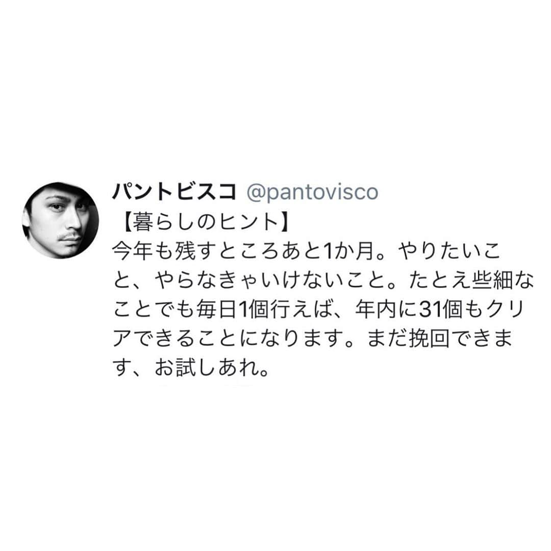 pantoviscoのインスタグラム