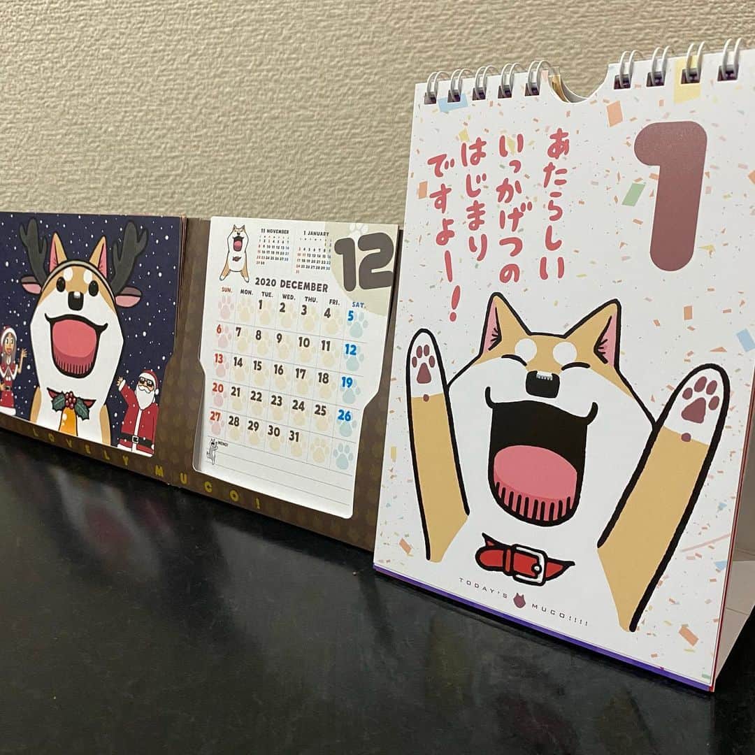 みずしな孝之のインスタグラム：「12月ですよ〜! 来年のカレンダーかわねば…！」