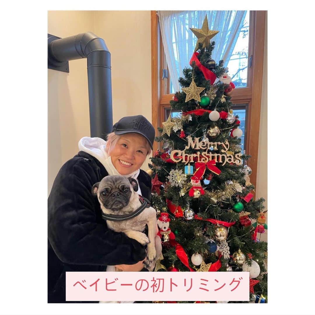 高橋奈苗のインスタグラム：「ベイビーのトリミングへ行きました。 爪切りが大の苦手のベイビーくん。行きつけの病院で、いつも暴れてしまうので「一度違うところへ行かれてみては？」と言われてしまう。 ( ´∵｀) だったら、しっかりシャンプーから気持ちよくやってもらって、その場所が気に入れば平気かもしれない！ と思い、色々調べてみてパックもついてるコースもあるサロンへ。 行った時から素敵な雰囲気のトリミングサロン！ お姉さんはとっても優しくてかわいい🤩 ベイビーもすぐメロメロに笑 コミニュケーションをとってくれてから、ゆっくりシャンプー台へ。 実はお風呂好きなベイビーはとっても気持ちよさそう♨️🐒 あわあわパックでトロンとしたあと最後は問題の爪切りです！ 最初はやっぱり警戒、、 逃げようとする。 あぁ、だめなのかぁ、、？？😨 と思っていたのもらつかの間 お姉さん達も3人掛かりでベイビーの気持ちに寄り添った対応をしてくれる。 あれ！！！ ベイビー、、 暴れることなく爪切りをしてもらっている、、！！  (写真4枚目一生懸命無になっているような表情、なんならちょっとドヤ顔😂)  わたし、感動です！！！！😭😭  お姉さん方がこわくないよ、って大丈夫だよ、って言ってくれてたのが伝わったかのようで、ベイビーは、とってもお利口さんでした🐶  お姉さんも言ってくれてた。  ｢やればできる！d！！｣ と…笑 (dはさすがに言わない😂)  とってもかわいくてお利口さんのベイビーは、帰ってからも、次の日もずーっと寝ていたので本当に頑張ったんだなぁと思いました。  そしてプロの仕事を見せてもらってとても感動しました！  動物にも当たり前に気持ちにがあるからね✨  @perrito11_official  トリミングサロンペリートさん、ありがとうございました🙇‍♀️🔥  #パグ #マラサダベイビー #ドッグサロン」