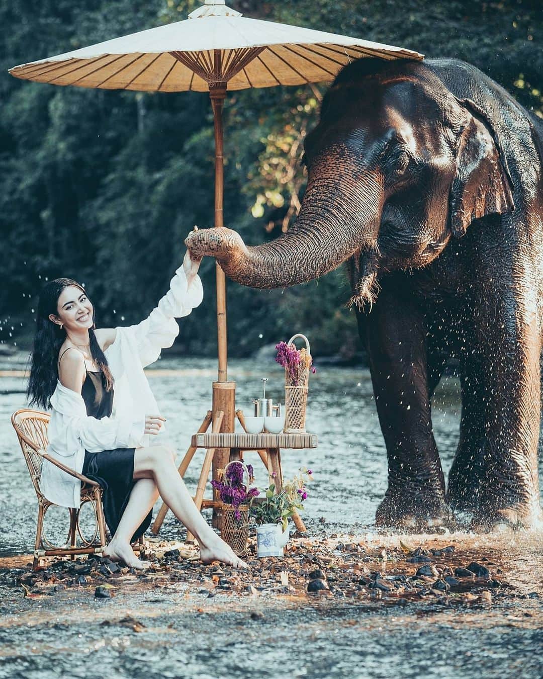 マイ・ダーウィカーのインスタグラム：「น้อนนนนน่าร๊ากมากกก🐘❤️☁️🌈✨ ขอบคุณไฉไลมากๆนะคะที่ดูแลดาวิดีมากอบอุ่นมากและที่สำคัญใหม่รู้สึกได้ว่าช้างที่นี่มีความสุขมากจริงๆ🐘❤️ #ดาวินักท่องเที่ยว」